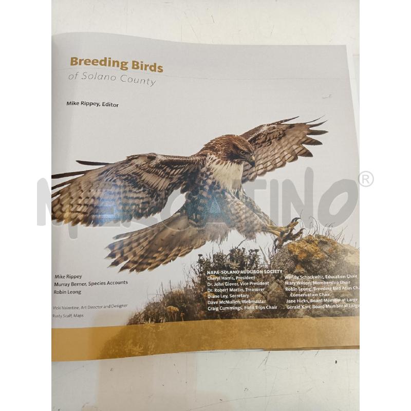 BREEDING BIRDS | Mercatino dell'Usato Mestre 5