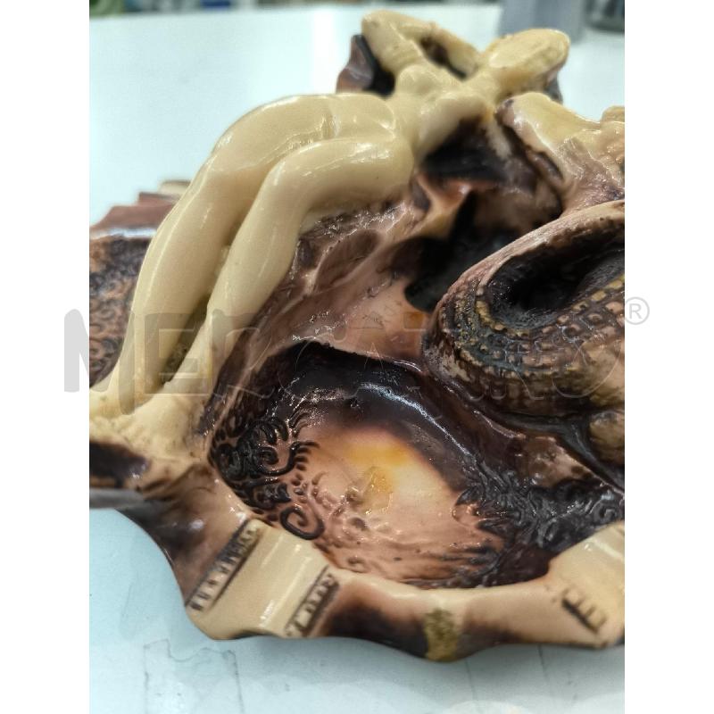 CENTROTAVOLA FIG FEMMINILE E COCCODRILLO | Mercatino dell'Usato Mestre 2
