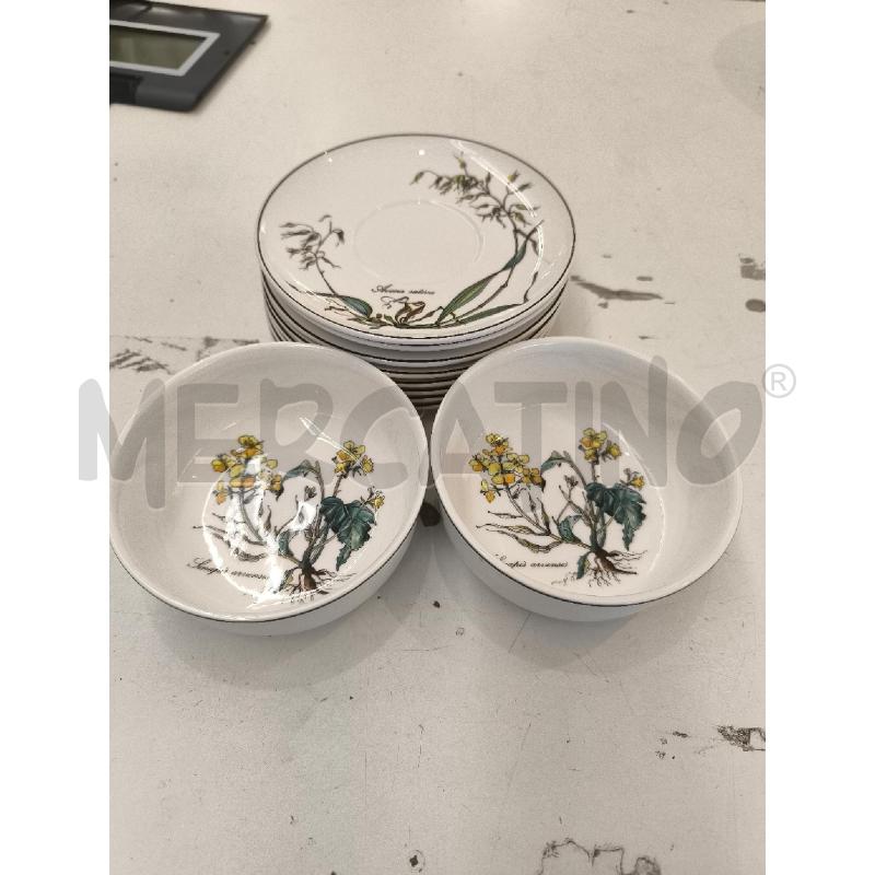 CIOTOLE PZ2 VILLEROY & BOCH BOTANICA+ PIATTINI | Mercatino dell'Usato Mestre 1