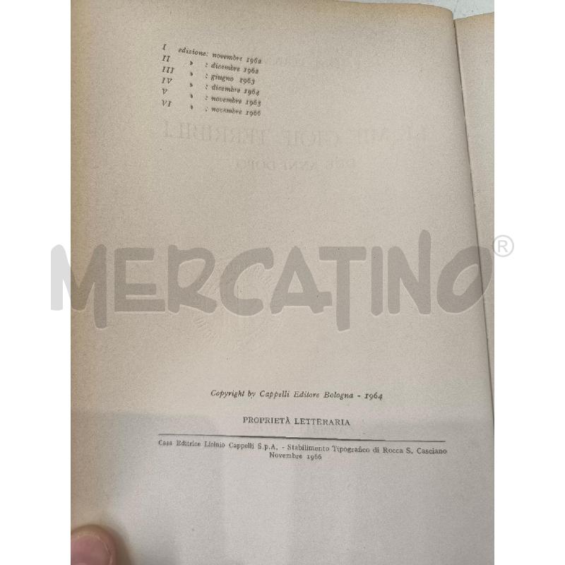 LE MIE GIOIE TERRIBILI | Mercatino dell'Usato Mestre 2