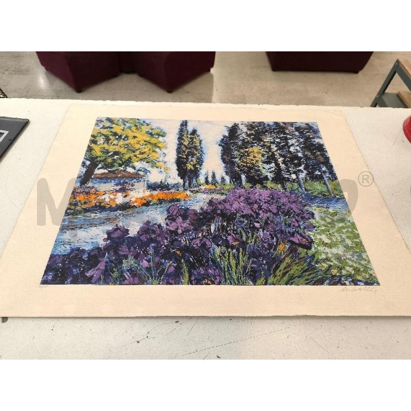LITOGRAFIA CASCELLA FIUME TULIPANI | Mercatino dell'Usato Mestre 1