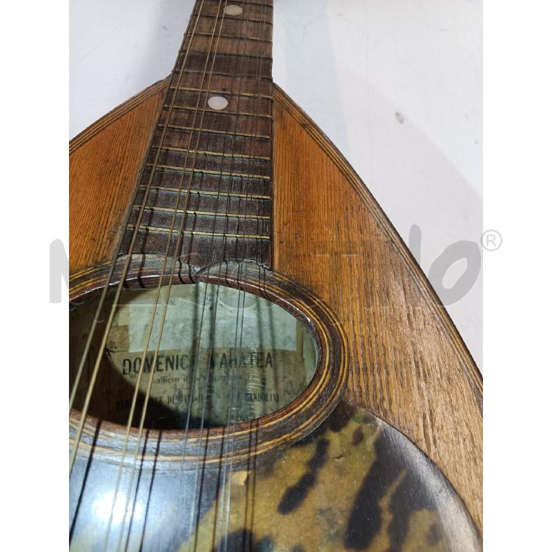 MANDOLINO DOMENICO MARATEA | Mercatino dell'Usato Mestre 2