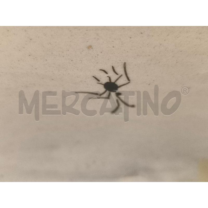 OROLOGIO CERAMICA CON PAVONI VINTAGE | Mercatino dell'Usato Mestre 3