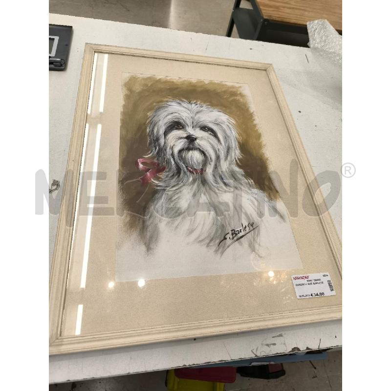 QUADRO CANE BARLESE | Mercatino dell'Usato Mestre 1