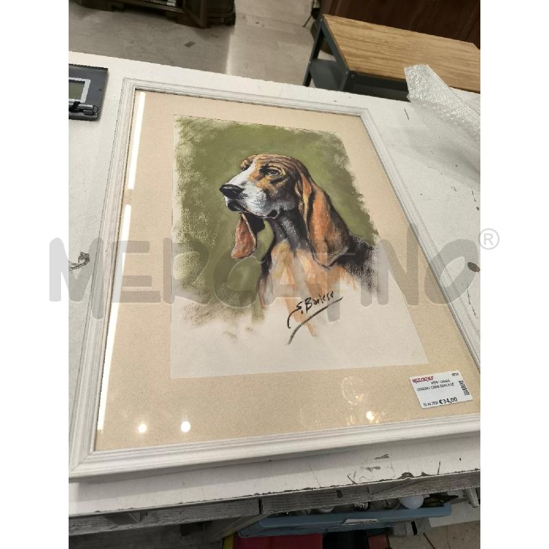 QUADRO CANE BARLESE | Mercatino dell'Usato Mestre 2