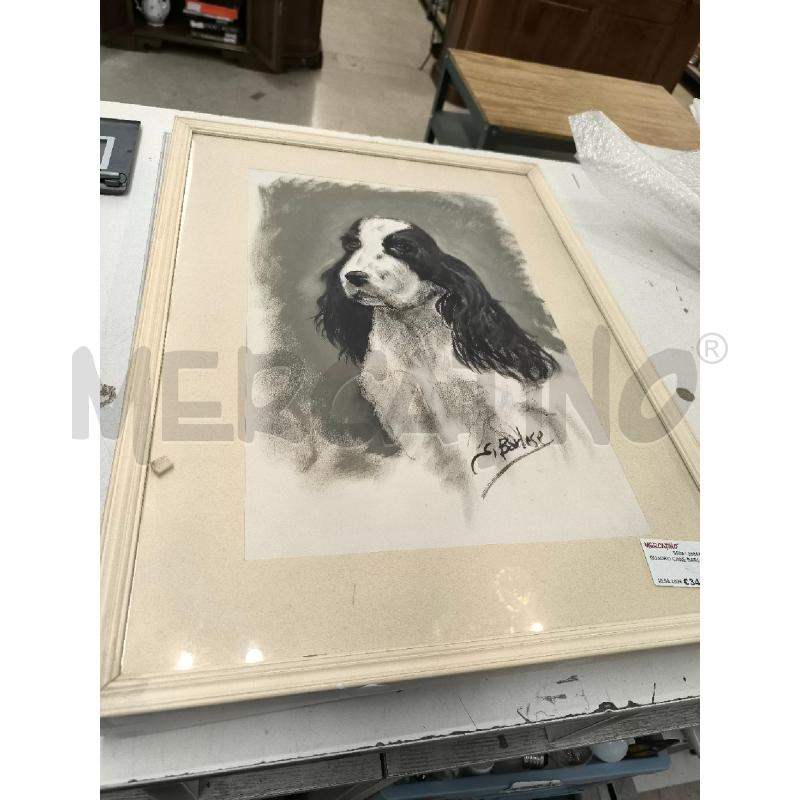 QUADRO CANE BARLESE | Mercatino dell'Usato Mestre 3