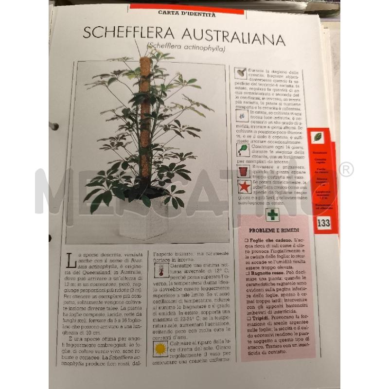 VERDE IN CASA 6 VOLUMI FABBRI  EDITORI | Mercatino dell'Usato Mestre 2