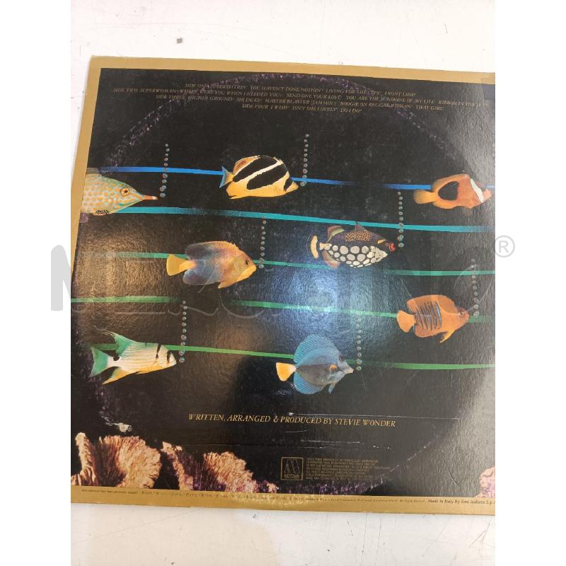 WONDER MUSIQUARIUM | Mercatino dell'Usato Mestre 3