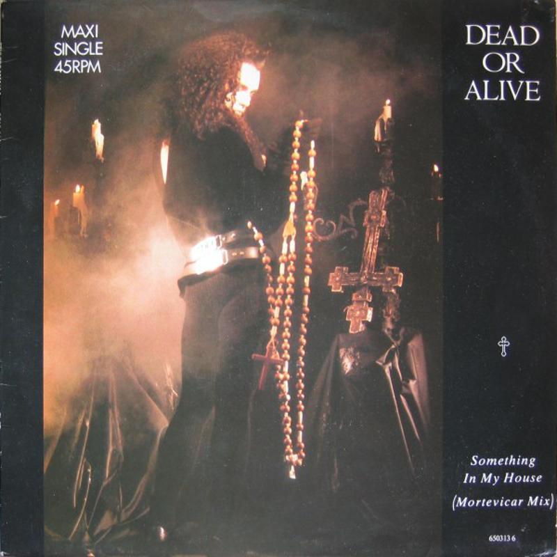 DEAD OR ALIVE - SOMETHING IN MY HOUSE (MORTEVICAR  | Mercatino dell'Usato Verona fiera 1
