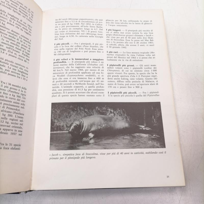 LIBRO GUINNES DEI PRIMATI 1978 | Mercatino dell'Usato Verona fiera 3