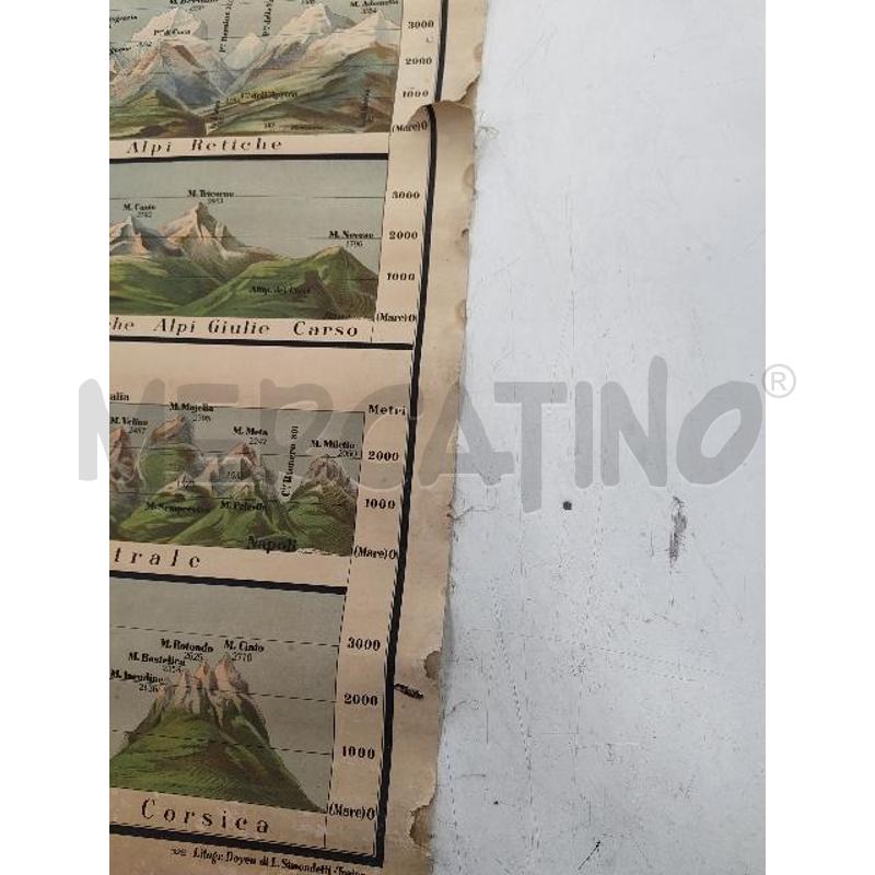 PROFILO DEI MONTI | Mercatino dell'Usato Verona fiera 3