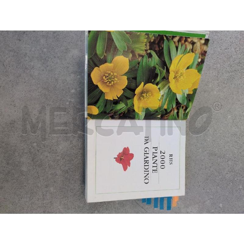 2000 PIANTE DA GIARDINO  | Mercatino dell'Usato Lugagnano di sona 3