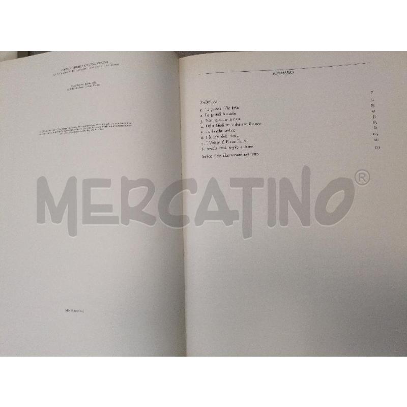 LA VERONA ILLUSTRATA DI NEREO TEDESCHI | Mercatino dell'Usato Lugagnano di sona 3